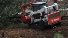 Forest Cleaning Washington State