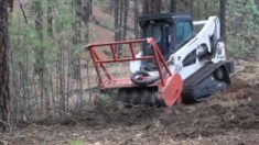 Tree Mulching Washington State